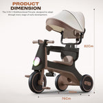 Baybee Zeno 3 in 1 Tricycle with Canopy, Light & Music for Kids 1-5 Years