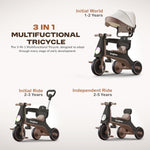 Baybee Zeno 3 in 1 Tricycle with Canopy, Light & Music for Kids 1-5 Years