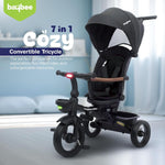 Baybee Cozy Kids Tricycle With Rotatable Seat & Canopy for 1-5 Years